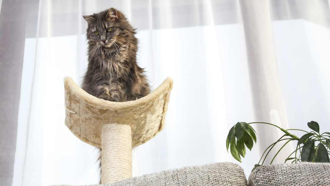 TOP 5 Gray Cat Tower List (for hiding cat fur and fitting into your decor)