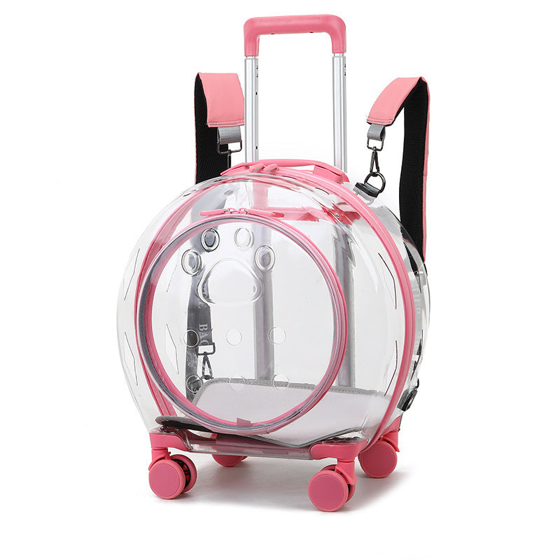 KittyClear - Cat Trolley Bubble Capsule - Cat Shaped World - Cat Store