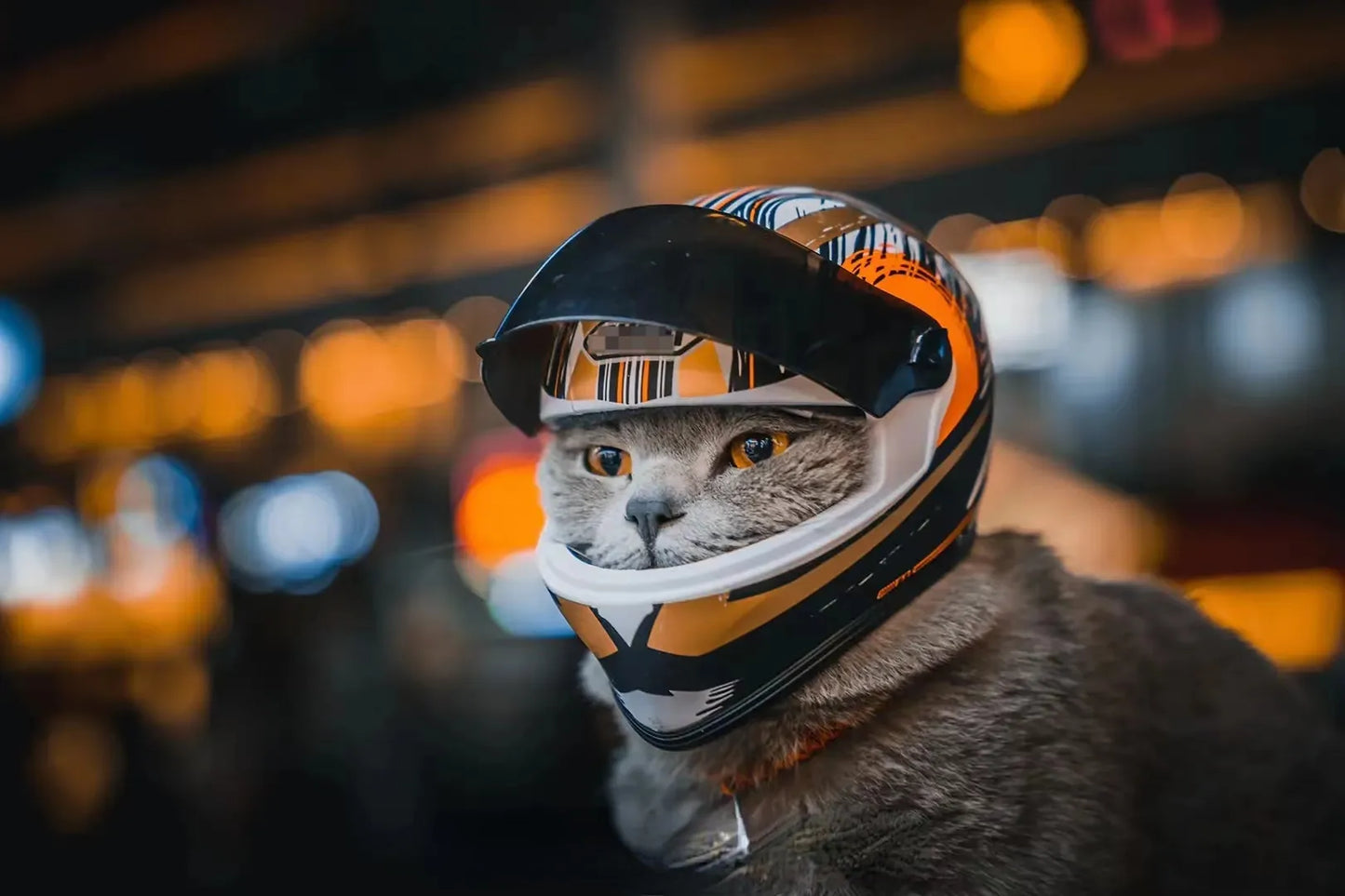 The Cat Motorcycle Helmet