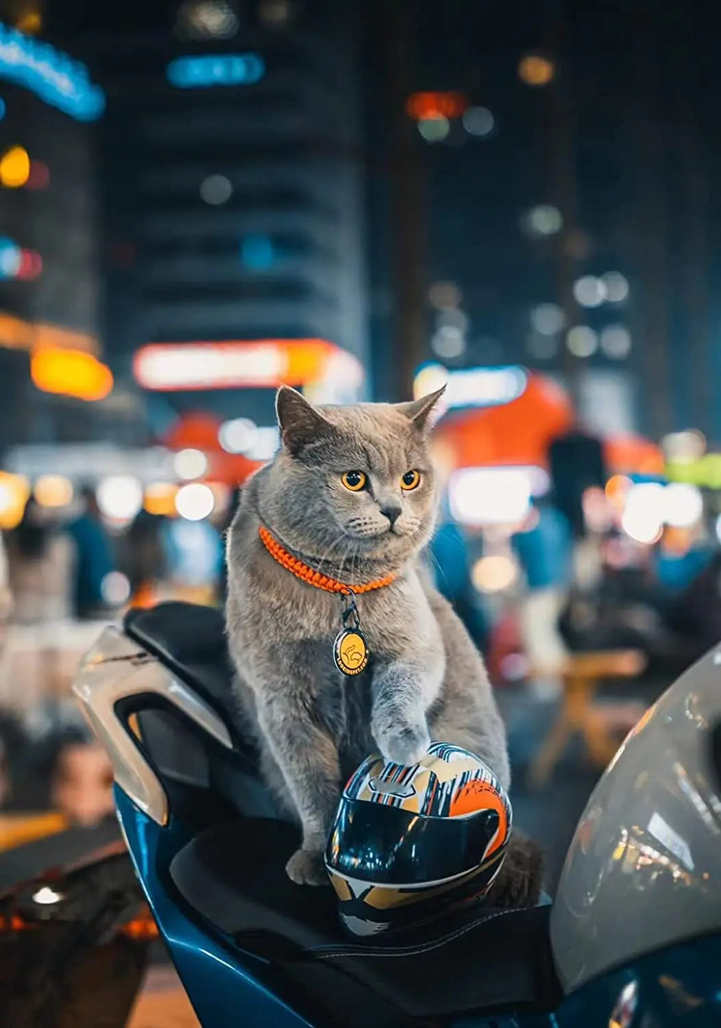 The Cat Motorcycle Helmet