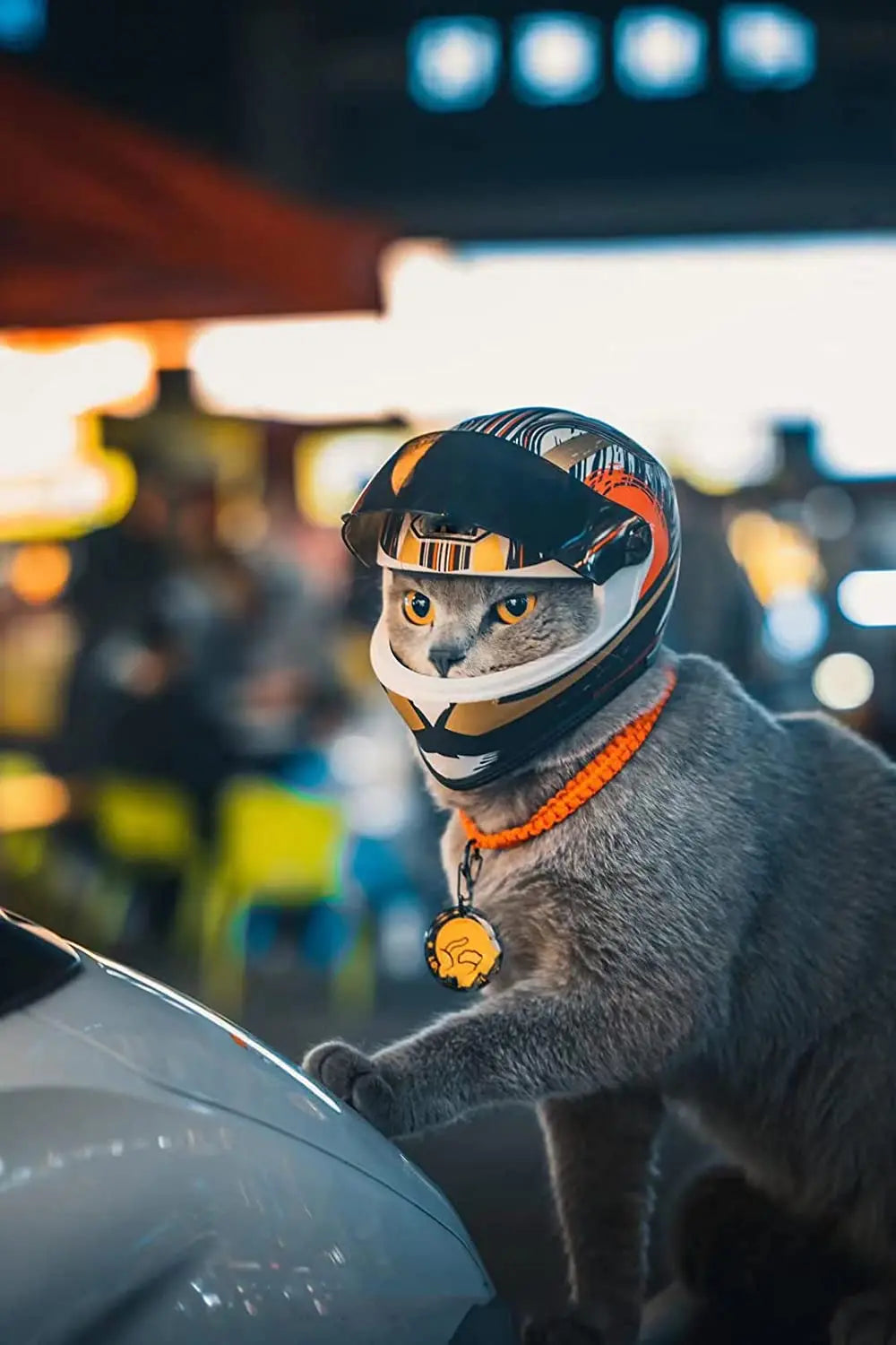 The Cat Motorcycle Helmet