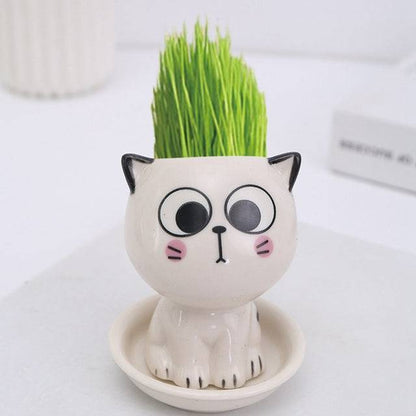 Silly Cat Shaped Ceramic Flowerpot - Cat Shaped World - Cat Store