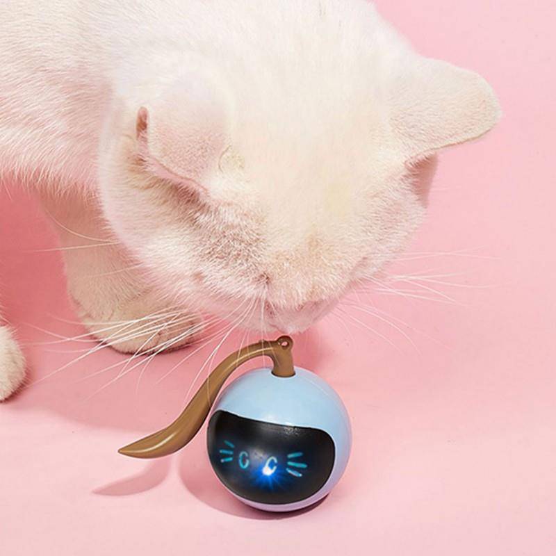 Smart Cat Toy Ball - Cat Shaped World - Cat Store